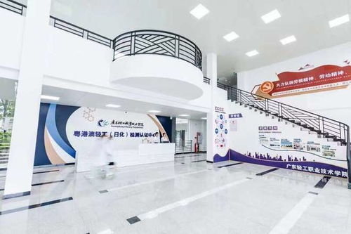 廣東新設職業(yè)本科院校首次招生，軟件服務專業(yè)迎來210名學子